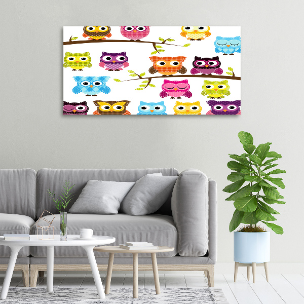 Bild auf leinwand Bunte Eulen