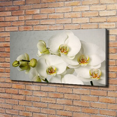 Wandbild Weiße Orchidee