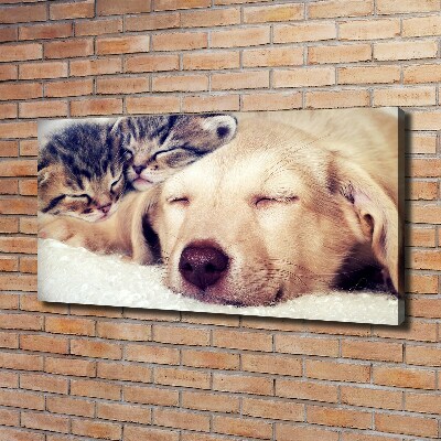 Bild auf leinwand Welpen und Katzen