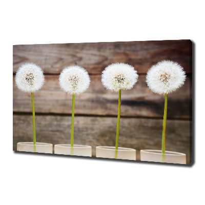 Bild auf leinwand Löwenzahn