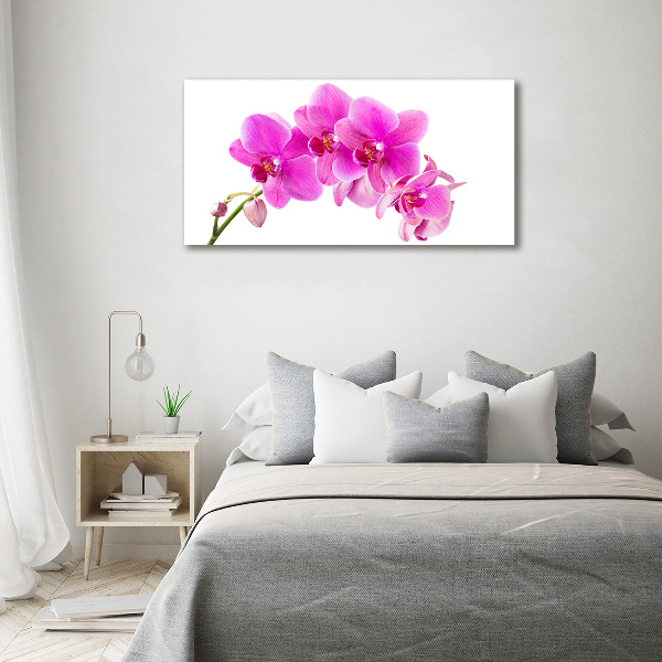 Wandbild Rosa Orchidee