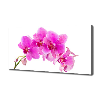 Wandbild Rosa Orchidee