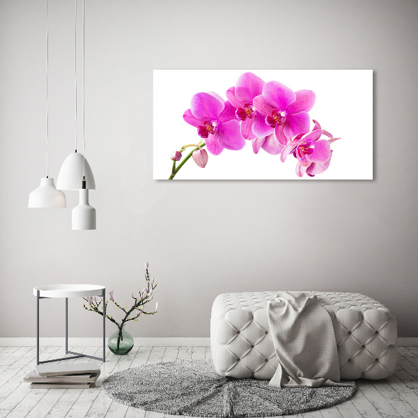 Wandbild Rosa Orchidee