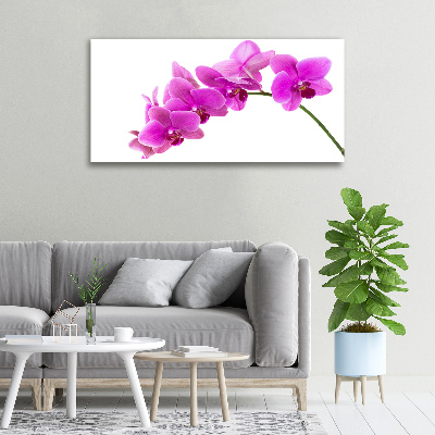 Bild auf leinwand Rosa Orchidee