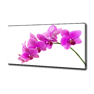 Bild auf leinwand Rosa Orchidee