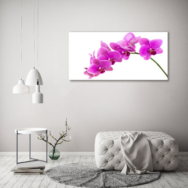 Bild auf leinwand Rosa Orchidee