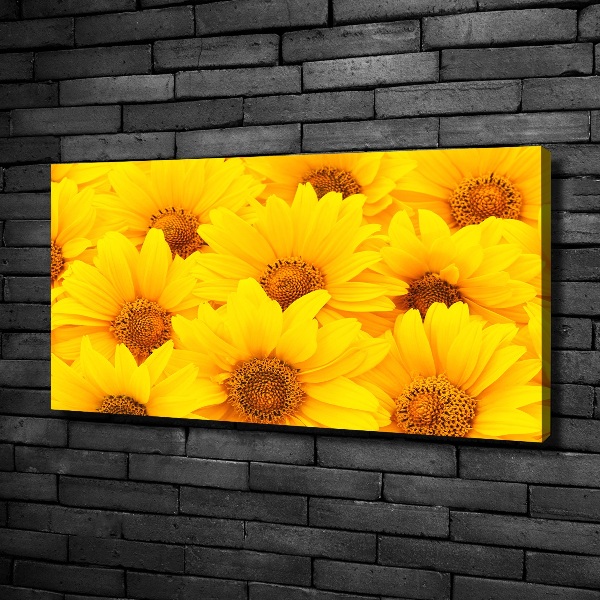 Fotobild Sonnenblumen