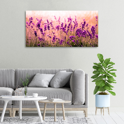 Bild auf leinwand Lavendel