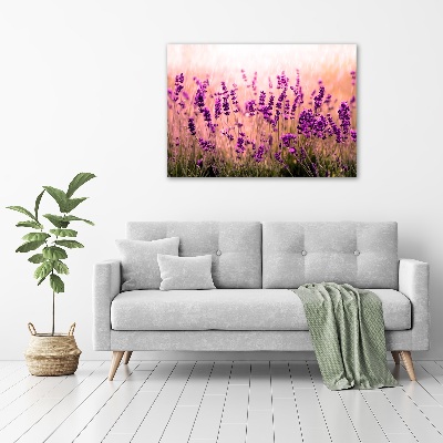 Bild auf leinwand Lavendel