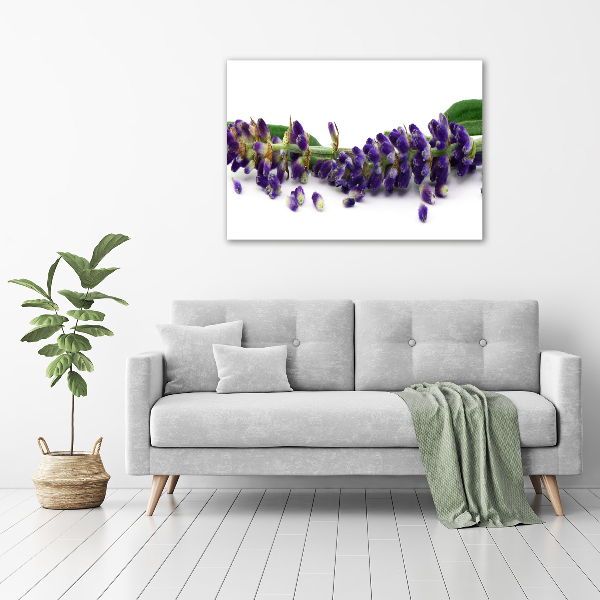Wandbild Lavendel