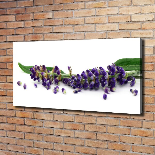 Wandbild Lavendel