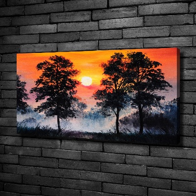 Bild auf leinwand Sonnenuntergangswald