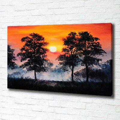 Bild auf leinwand Sonnenuntergangswald
