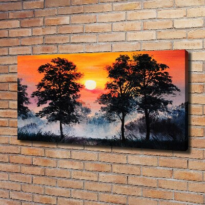 Bild auf leinwand Sonnenuntergangswald