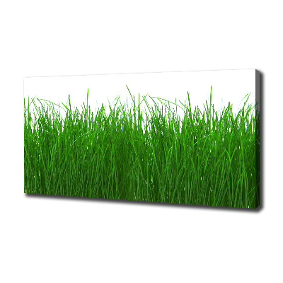 Wandbild Gras