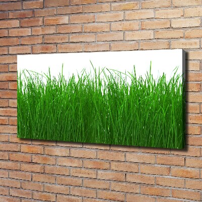 Wandbild Gras