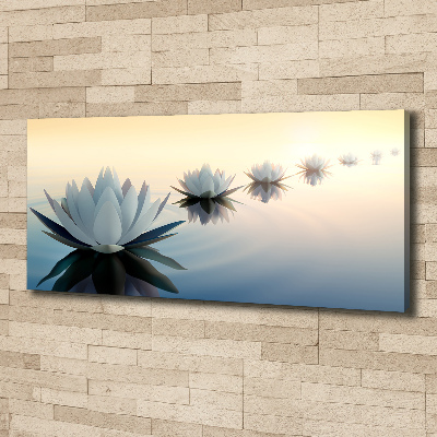 Bild auf leinwand Lotusblumen