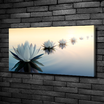 Bild auf leinwand Lotusblumen