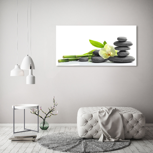 Fotobild Orchidee