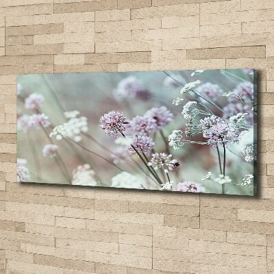 Bild auf leinwand Wildblumen