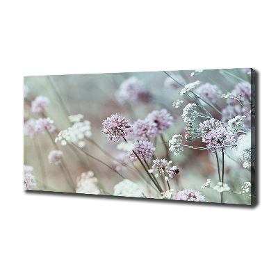 Bild auf leinwand Wildblumen
