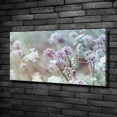 Bild auf leinwand Wildblumen