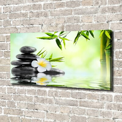 Wandbild Plumeria und Bambus