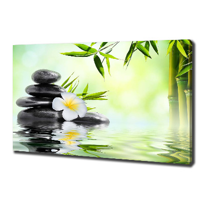 Wandbild Plumeria und Bambus