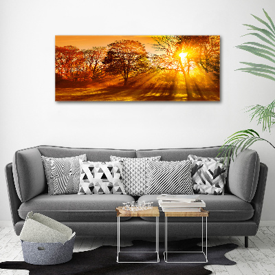 Bild auf leinwand Sonnenuntergang