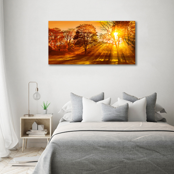 Bild auf leinwand Sonnenuntergang