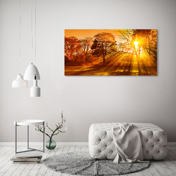 Bild auf leinwand Sonnenuntergang