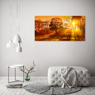 Bild auf leinwand Sonnenuntergang