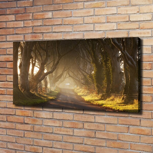 Wandbild Nebel im Wald