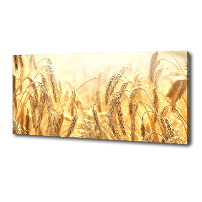Bild auf leinwand Getreide