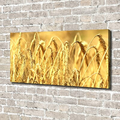 Wandbild Getreide