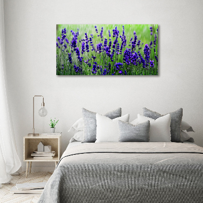 Bild auf leinwand Lavendel