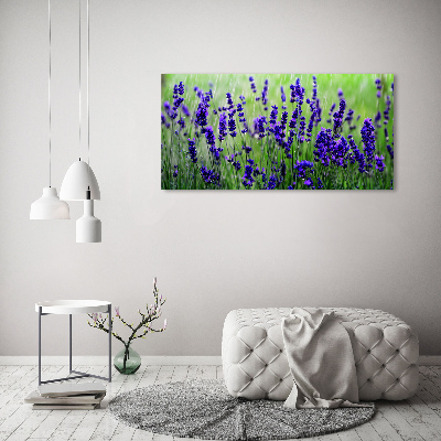 Bild auf leinwand Lavendel