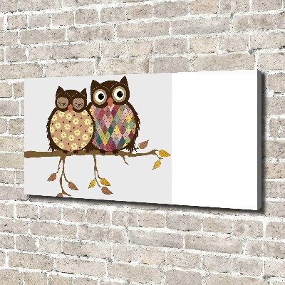 Wandbild Zwei Eulen auf einem Ast