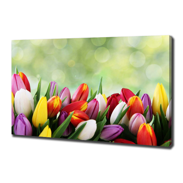 Bild auf leinwand Bunte Tulpen