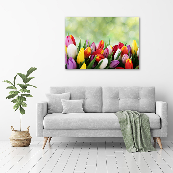 Bild auf leinwand Bunte Tulpen