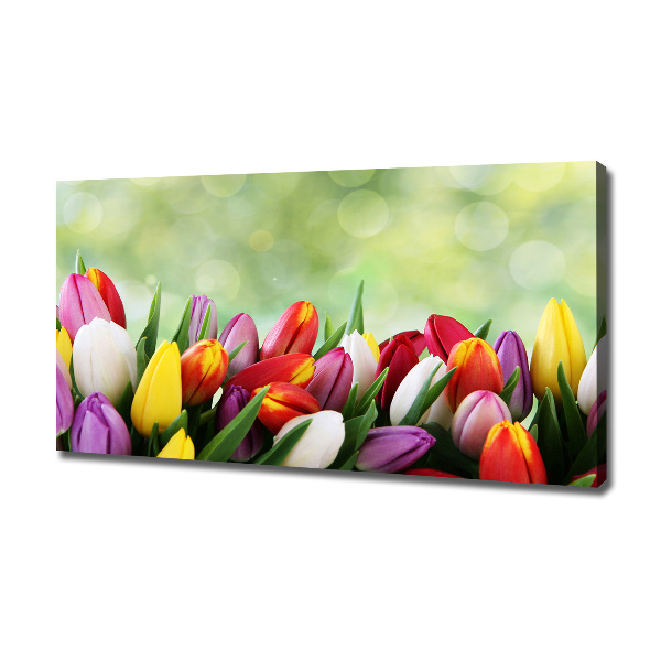Bild auf leinwand Bunte Tulpen