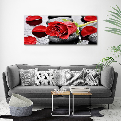 Wandbild Rote Rose