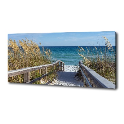 Fotobild Küstendünen