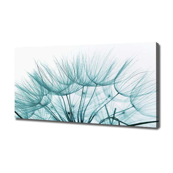 Bild auf leinwand Löwenzahnsamen