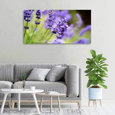 Wandbild Lavendel