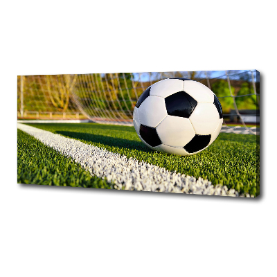 Bild auf leinwand Der Ball ist im Tor