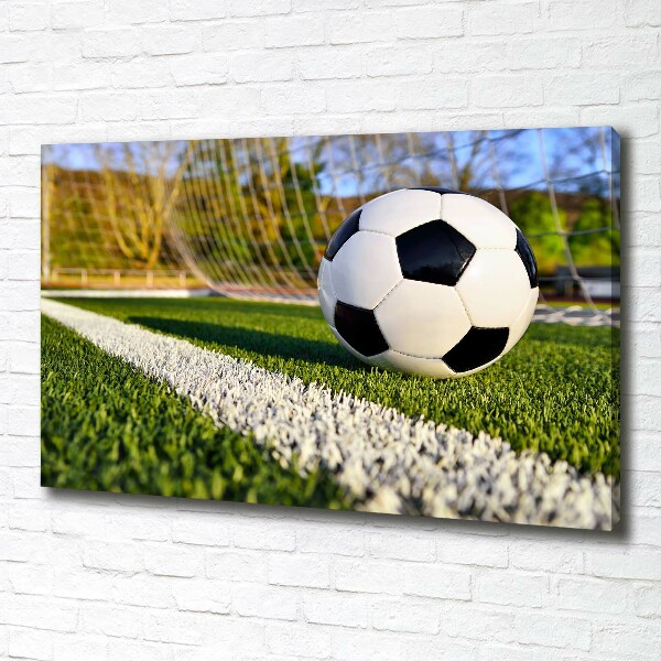 Bild auf leinwand Der Ball ist im Tor