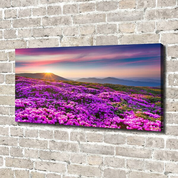 Bild auf leinwand Blumen in den Bergen