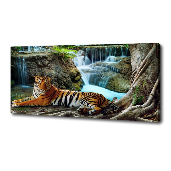 Fotobild Tigerwasserfall