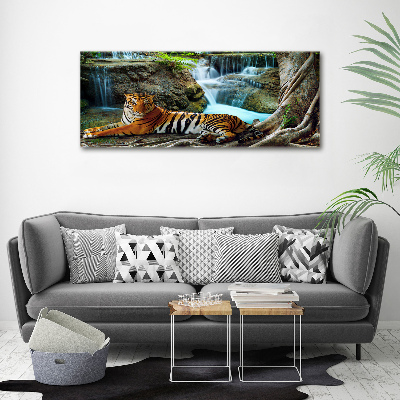Fotobild Tigerwasserfall